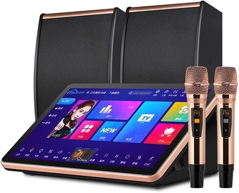 Karaoke System Desktop KTV Player, Capacitive Touch Screen Karaoke Machine with Wireless Microphone, Power Amplifier Function (Black) in Kuwait