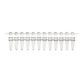 3133-00-410LF Amplifyt PCR 12-Strip Tube & Strip Cap Packs، شفاف، سعة 0.2 مل، عبوة من 800 قطعة in Saudi Arabia