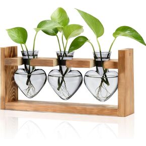 NACOME PLANT TERRARIUM لديكور المكتب: هدايا عيد ميلاد يوم الأم لعشاق النباتات أمي أمي زوجة - موقف خشبي منضدة زارع 3 لمسة زجاجية مزهرية على شكل HEART HOME HOME in Kuwait