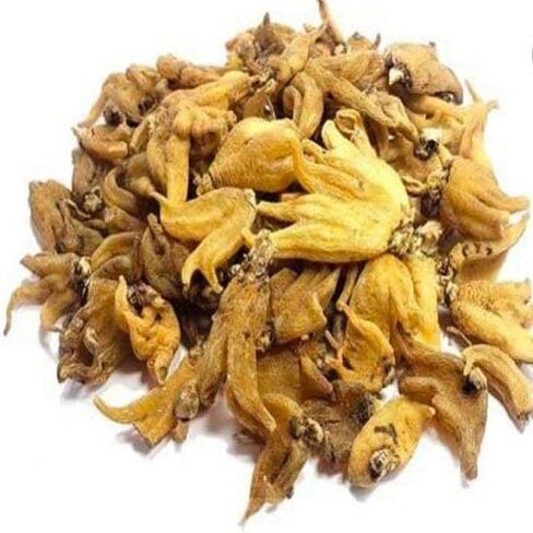 Aacure Salab Punja Whole | Irani Salam Panja asli 25gms in Saudi Arabia