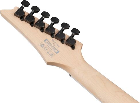 ايبانيز RG421DXTWS جيتار كهربائي قياسي 6ستر - ظل الشفق in Kuwait