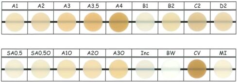 Shofu 2016 Beautifil Flow Plus Composite Restorative Syringe, A3 Shade, F03 Low Flow Viscosity, 2.2 g Size in Kuwait