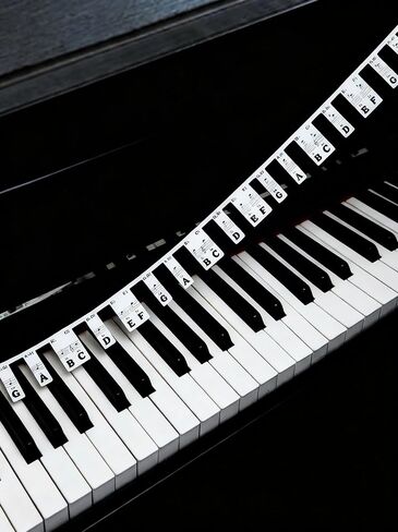 ملصقات ملاحظات للوحة مفاتيح البيانو، دليل سيليكون كامل الحجم قابل للإزالة مكون من 88 مفتاحًا لتعلم المبتدئين، قابل لإعادة الاستخدام مع صندوق (أسود كلاسيكي) in Saudi Arabia