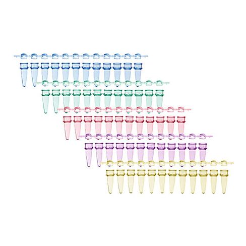 3133-00-410LF Amplifyt PCR 12-Strip Tube & Strip Cap Packs, Clear, 0.2ml Capacity, Pack of 800 in Saudi Arabia