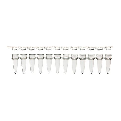 3133-00-410LF Amplifyt PCR 12-Strip Tube & Strip Cap Packs, Clear, 0.2ml Capacity, Pack of 800 in Saudi Arabia