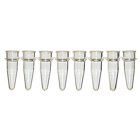 3111-09 Amplifyt PCR Strip Tubes (Tubes Only), 8-Strip, Assorted, 0.2ml Capacity, Pack of 125 in Saudi Arabia