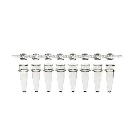 3132-00-210LF Amplifyt PCR 8-Strip Tube & Strip Cap Packs، شفاف، سعة 0.2 مل، عبوة من 125 قطعة in Saudi Arabia