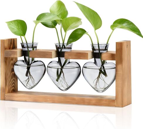 NACOME PLANT TERRARIUM لديكور المكتب: هدايا عيد ميلاد يوم الأم لعشاق النباتات أمي أمي زوجة - موقف خشبي منضدة زارع 3 لمسة زجاجية مزهرية على شكل HEART HOME HOME in Kuwait