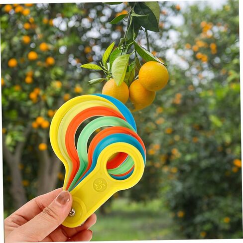 2 Sets Fruit Measuring Tool Plastic Fruit Gauge Circles Pear Sizer Accurate Grading Rings and Packaging in Saudi Arabia
