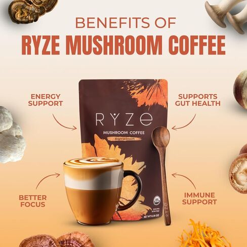 مجموعة RYZE SUPERFOODS للطاقة طوال اليوم مع فطر قهوة مشوية متوسطة الحجم + فطر ماتشا، عضوي من وزارة الزراعة الأمريكية مع 6 فطر متكيف + ماتشا للحصول على طاقة أفضل وتركيز وهضم 30+30 حصة in Kuwait