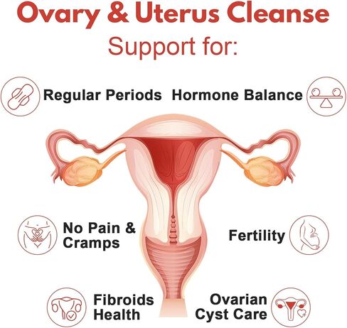 لونزا تطهير المبيض والرحم، تطهير الرحم، الفترات المنتظمة، الخصوبة، دعم صحة كيس المبيض والأورام الليفية، للنزيف غير الطبيعي، بدون تشنجات، 60 كبسولة نباتية in Kuwait