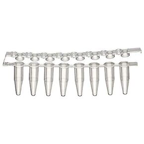Labcon 1141N60PK, 3929-550-000-9 PurePlus 8 Well PCR Tube Strip with Attached Clear Flat Cap Strip, in Bag, 0.2mL Capacity, Pack of 125 in Kuwait