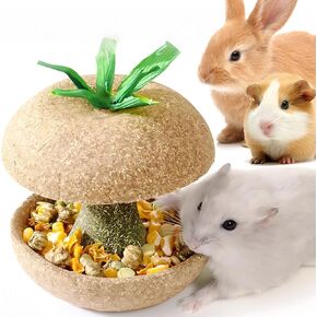 mini&moe Hamster Chew Toys - 3.1in Apple Core Shaped Edible Natural Guinea Pig Chew Bowl for Teeth Handmade Treats for Chinchilla, Gerbil, Rat in Kuwait