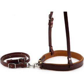 Jeereal Horse Noseband Soft مبطنة مستديرة الكهوف مع ربط الجلد أسفل حزام ، مساعدة تدريب فعالة | جلد ثقيل ذي زيت ثقيل | خياطة معززة in Kuwait