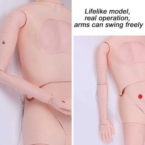 قزم رعاية المرضى للرجال والنساء، محاكي CPR للتدريب على التمريض الطبي قابل للتبديل in Saudi Arabia