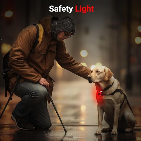 USB Rechargeable Bike Tail Light 2 Pack,Cycling Safety Flashing Light Accessories, Featuring 5 Lighting Modes, Suitable for Bicycles, Tricycles, Baby Carriages, Scooters in Kuwait