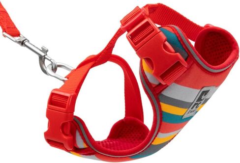 RC Pet Products Adventure Kitty Harness ، تسخير المشي Cat ، كبير ، Marigold (53805198) in Kuwait
