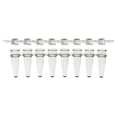 1149Z81CS، أنبوب PCR منخفض المستوى مكون من 8 أشرطة وغطاء شريطي مسطح معبأة معًا، سعة 0.1 مل، شفاف، عبوة من 1250 قطعة in Saudi Arabia