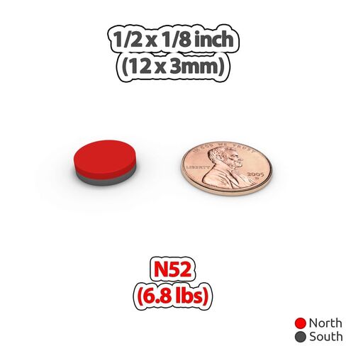 Neodymium Round Disc Magnets 12x3mm - Rare Earth Magnetic Sticker Holder Fastener 1/2x1/8 inch Circular Disk Magnet N52 Powerful (20 Pack) in Kuwait