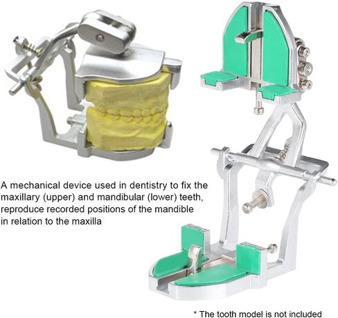 Lab Adjustable Articulator Universal Bite Frame for Models JT-44, green in Kuwait