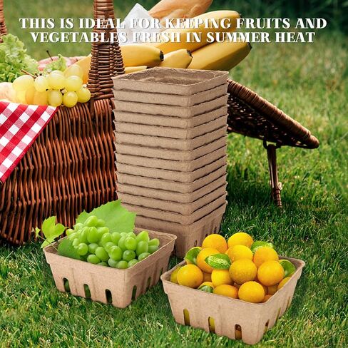 20 Pack Berry Basket, Natural Pulp Fiber Berry Baskets Vented Produce Containers Farmers, Fruit Strawberry Blueberry Raspberry Market Basket（1/2 Pint） in Kuwait