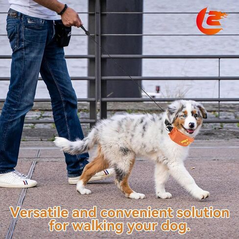 Lesypet 2 in 1 Retractable Dog Leash Collar, Hands-Free Dog Walking Collar with Retractable Leash for Small Medium Breed Dog Outdoor, Orange S in Kuwait