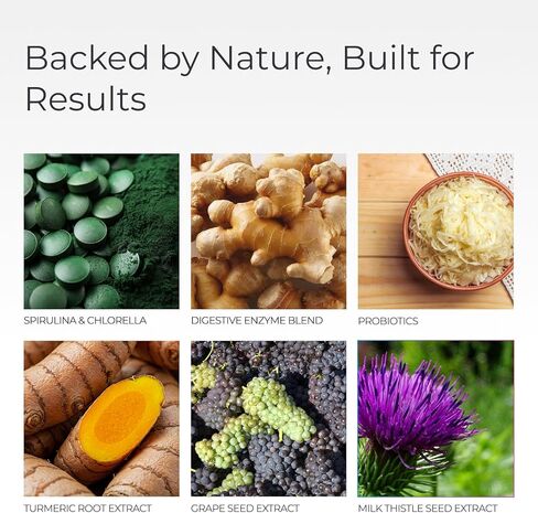 Livingood Daily Greens & Superfood Powder، الخضروات الفائقة لصحة الأمعاء، مسحوق العصير الأخضر مع سبيرولينا، شلوريلا، والإنزيمات الهاضمة، البروبيوتيك لدعم الجهاز الهضمي، الشوكولاتة، 30 حصة in Saudi Arabia