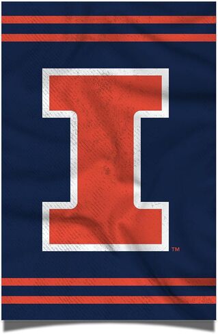 Desert Cactus University of Illinois Poster Fighting Illini U of I 11 x 17 Inch Room Office Décor Decoration Official Fan Gear (11x17,Version 3) in Saudi Arabia