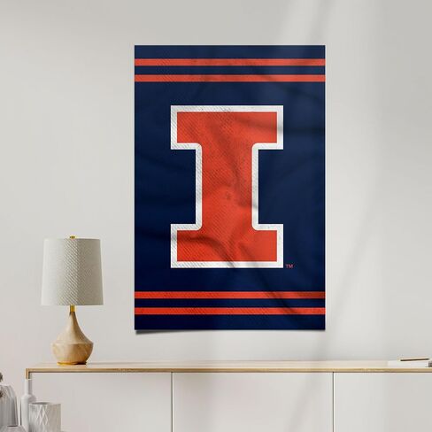 Desert Cactus University of Illinois Poster Fighting Illini U of I 11 x 17 Inch Room Office Décor Decoration Official Fan Gear (11x17,Version 3) in Saudi Arabia