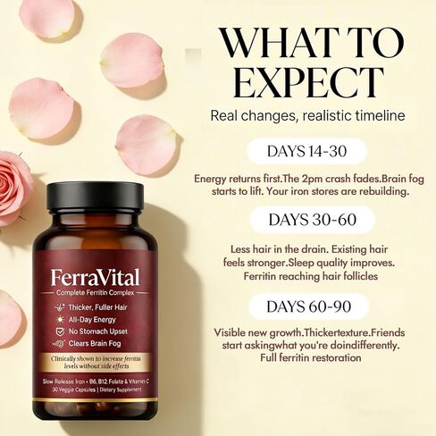 Ferritin Supplement for Women – Supports Healthy Iron & Energy Levels – with Ferrous Glycine, Vitamins C, B12, B6, Folate, Zinc & Probiotics – 60 Capsules in Saudi Arabia