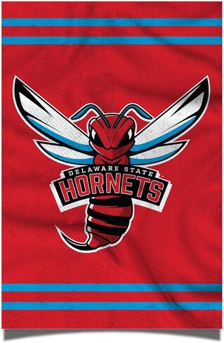 Desert Cactus Delaware State University Poster DSU Hornets 11 x 17 Inch Room Office Décor Decoration Official Fan Gear (11x17,Version 3) in Saudi Arabia