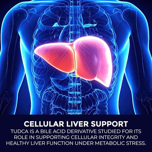 TUDCA 500mg – Tauroursodeoxycholic Acid Supplement – 60 Capsules – TUDCA Liver Support Supplement – Bile Acid Digestive Support – Non-GMO, ISO-Certified in Kuwait