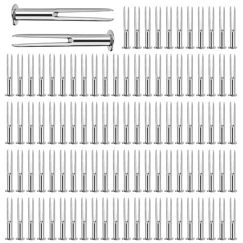 100 قطعة من دبابيس دعم مؤسسة شمع العسل المعدنية من DECOHS مع صندوق، دبابيس دعم إطار خلية النحل من الحديد المجلفن للحمل، مستلزمات تربية النحل in Kuwait
