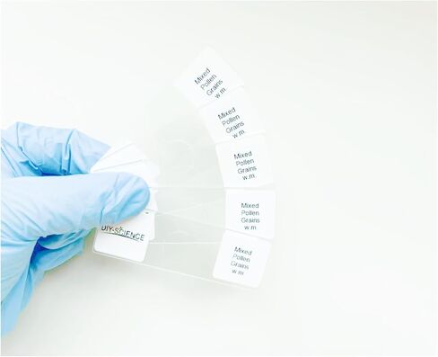 Mixed Pollen Grains Microscope Slides, 5 Pack Pollen Slides to Learn About Grains Plant Reproduction, Pollen Structure in Kuwait