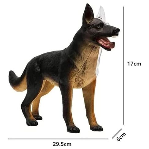 Anatomy and Assembly of Wolf Dog Bones, 29 Detachable Parts of Animal Organs, Veterinary Model for Science Education Schools in Saudi Arabia
