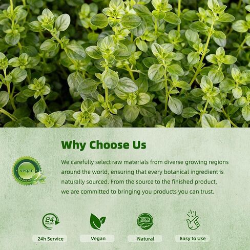 قطرات زيت الأوريجانو العضوية | زيت الأوريجانو مع زيت الحبة السوداء، مملوء بفيتامين E، 80% كارفاكرول لدعم المناعة، تعزيز مضادات الأكسدة وتنظيف الأمعاء - غير معدل وراثيًا، نباتي، عبوتان (كمية تكفي 480 يومًا) in Kuwait