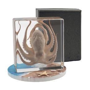 Taxidermy Octopus, Real Octopus Specimens Animal Specimen Preserved in Resin, Marine Biology Specimen Educational Display for Science Classroom, Ideal Gift for Oddities, Biology, Taxidermy in Kuwait