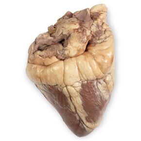 Carolina's Perfect Solution® Sheep Heart, Plain, 1 Per Bag in Kuwait