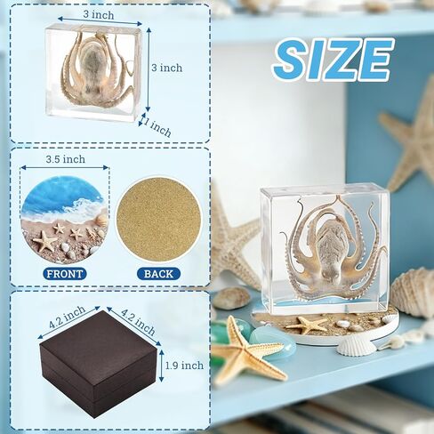 Taxidermy Octopus, Real Octopus Specimens Animal Specimen Preserved in Resin, Marine Biology Specimen Educational Display for Science Classroom, Ideal Gift for Oddities, Biology, Taxidermy in Kuwait