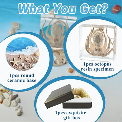 Taxidermy Octopus, Real Octopus Specimens Animal Specimen Preserved in Resin, Marine Biology Specimen Educational Display for Science Classroom, Ideal Gift for Oddities, Biology, Taxidermy in Kuwait