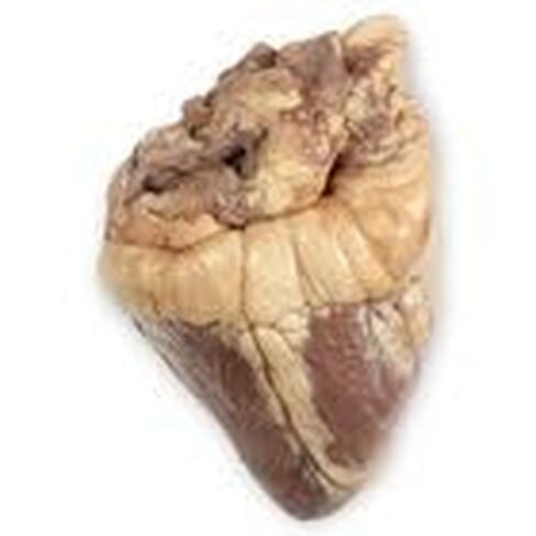 Carolina's Perfect Solution® Sheep Heart, Plain, 1 Per Bag in Kuwait