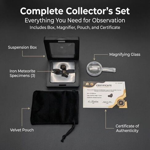 أحجار نيزك أرجنتينية أصلية (3 قطع)، صخرة فضاء كامبو ديل سيلو الأصلية 1-3 جم لكل قطعة، عينة نيزك حقيقية مع صندوق عرض، حقيبة مخملية، عدسة مكبرة in Kuwait