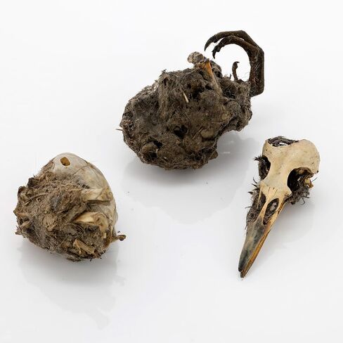 كريات البومة الصغيرة جدًا، 30 عبوة in Kuwait