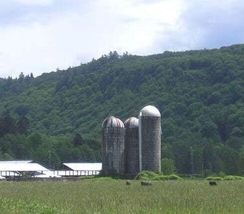 كريات البومة الصغيرة جدًا، 30 عبوة in Kuwait