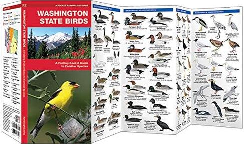 Washington State Birds (Nature Observation North America) in Kuwait