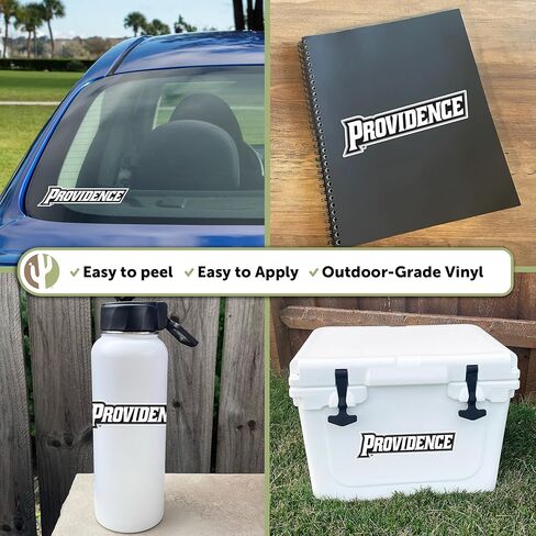 Desert Cactus Providence College Sticker Friars Vinyl Decal Laptop Water Bottle Car Scrapbook (IND 14) in Kuwait