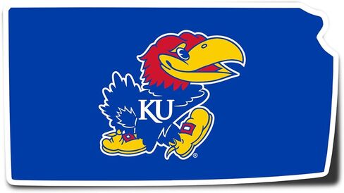 Desert Cactus University of Kansas Sticker Jayhawks KU Vinyl Decal Laptop Water Bottle Car Scrapbook (State Border Sticker) in Kuwait