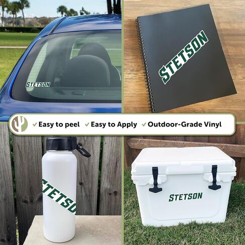 Desert Cactus Stetson University Sticker Hatters Sticker Vinyl Decal Laptop Water Bottle Car Scrapbook (IND 00011) in Kuwait