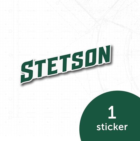 Desert Cactus Stetson University Sticker Hatters Sticker Vinyl Decal Laptop Water Bottle Car Scrapbook (IND 00011) in Kuwait