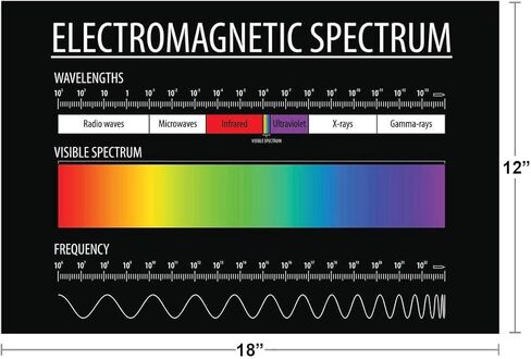 Electromagnetic Spectrum Poster Visible Light Chart Laboratory Posters Educational Reference Patterns Science Classroom Decor Cool Wall Art Print Poster 18x12 in Kuwait